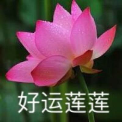 河北官方辟谣：网传